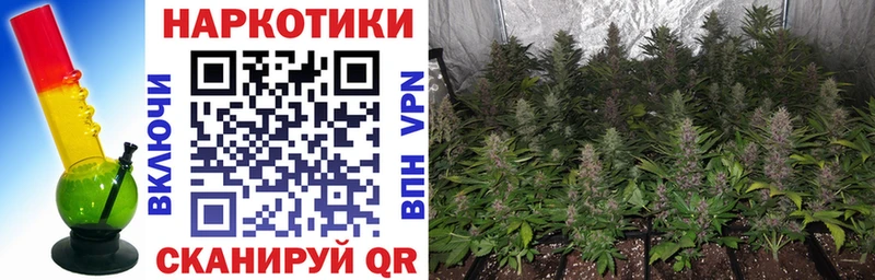 Что такое Ильский Каннабис Меф
