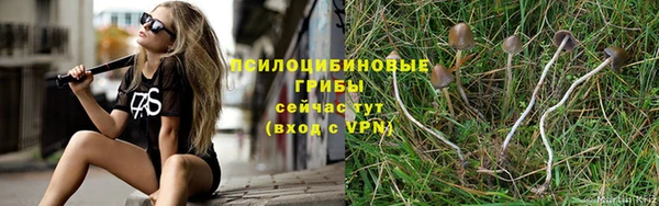 ешки Богородицк