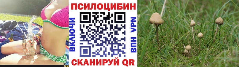 Галлюциногенные грибы мицелий  Ильский 